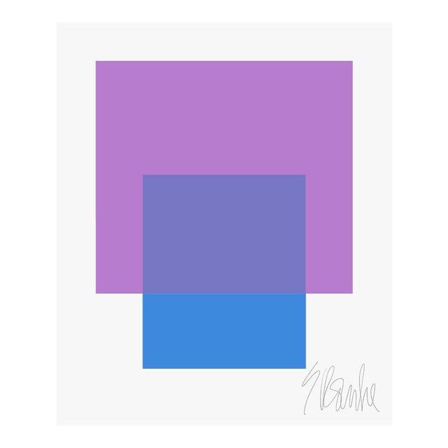 The Interaction of Purple and Blue Fine Art Print 25" X 30" by Liz Roache For Sale