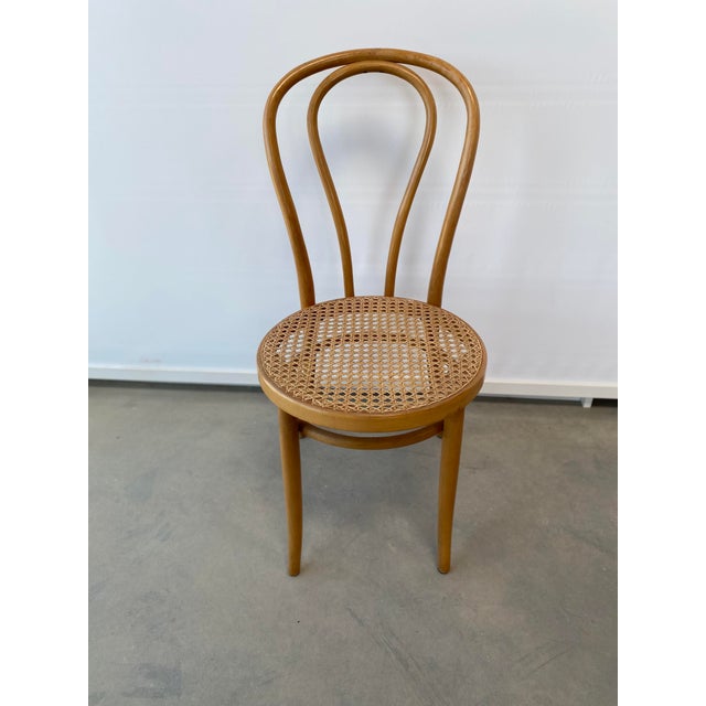 Set of Cafe Chairs in Bentwood by Michael Thonet for ZPM Radomsko For Sale - Image 9 of 9