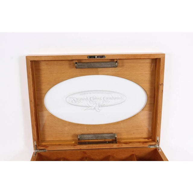 1950s Vintage Fruitwood Display, 1950s For Sale - Image 5 of 17