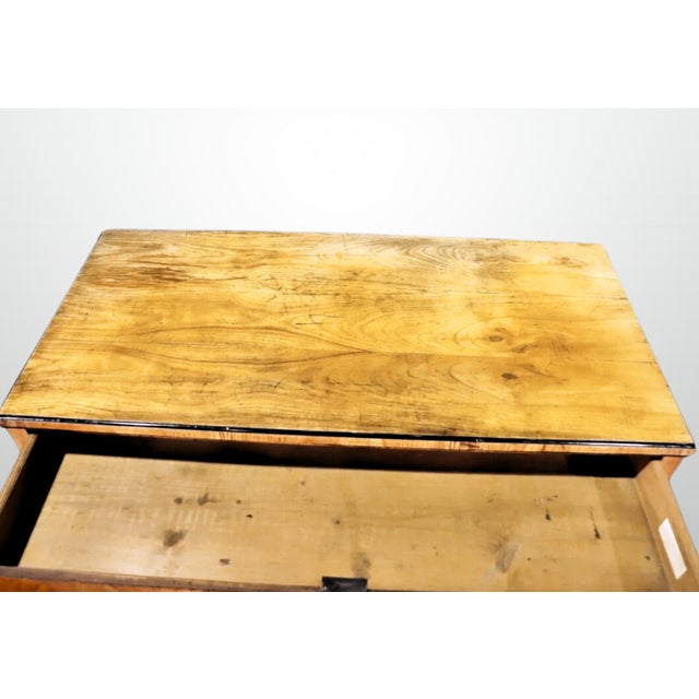 Biedermeier Cabinet Early 19th Century Cherry & Ebonized Wood For Sale - Image 11 of 11