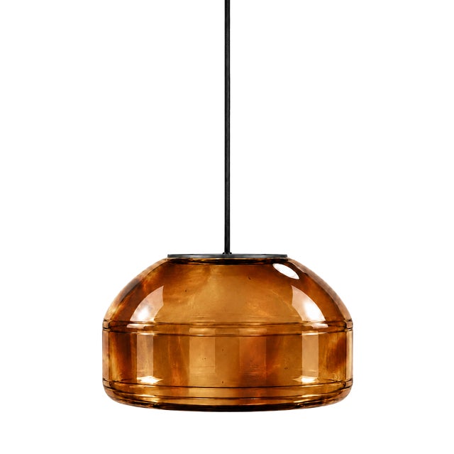 Tortoiseshell Blown Glass Pendant Light by Artem Zakharchenko-Halytskyi For Sale