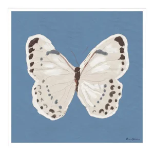 White Monarch in Blue By Dana Gibson, Framed Art Print