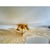 Glass Murano Glass Flush Mount by Simoeng for Simoeng For Sale - Image 7 of 9