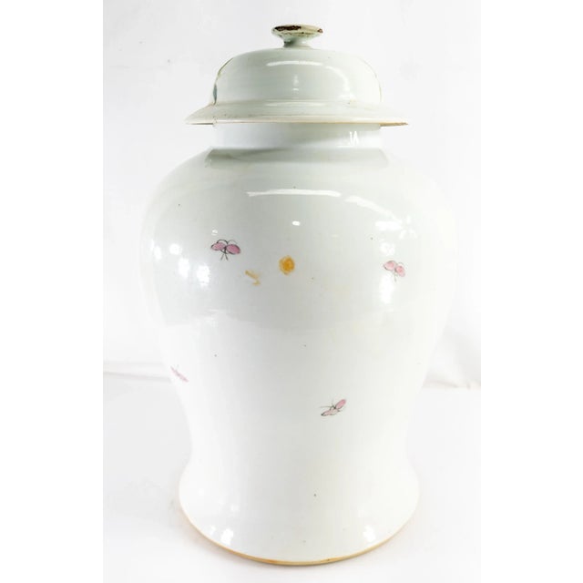 20th Century Chinese Decorative Chinoiserie Ginger Jar With Birds For Sale In New York - Image 6 of 13