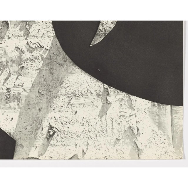 Pablo Picasso Pablo Picasso, Diurnes "La chèvre aux gravois", 1962, offset lithograph For Sale - Image 4 of 8