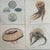 1970s Natural Curiosities Collector's Album of 14 Artistic Prints For Sale - Image 14 of 17