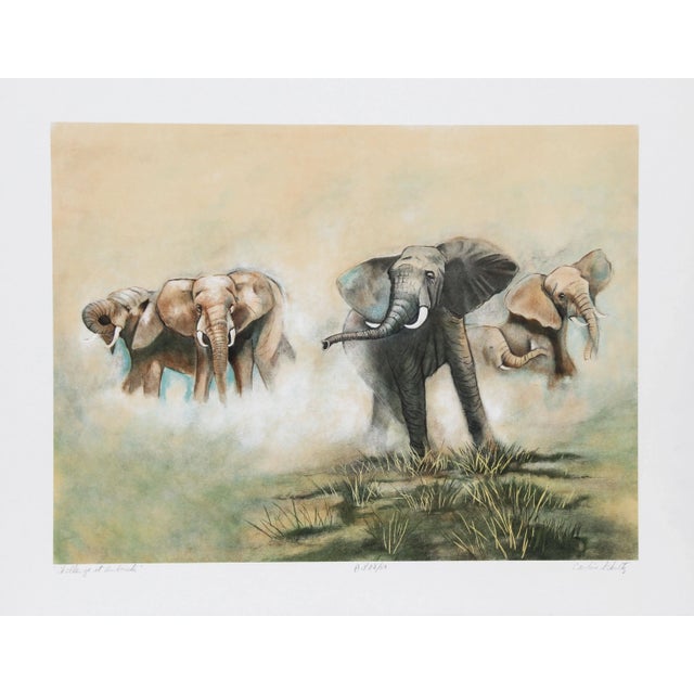 American Caroline Schultz, Challenge at Amboseli, Lithograph For Sale - Image 3 of 3