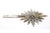 Revealed Silver Splendor and Crowned Center For Sale - Image 5 of 8