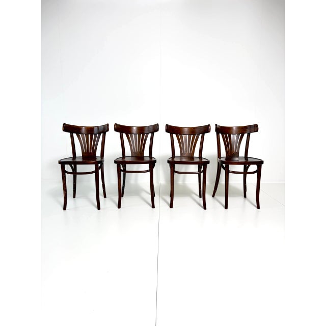 Vintage Bentwood Fan Chairs from ZPM Radomsko, Poland, 1970s For Sale - Image 14 of 18