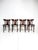 Vintage Bentwood Fan Chairs from ZPM Radomsko, Poland, 1970s For Sale - Image 14 of 18