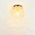 1960s 1960s Mid-Century Modern Amber Bubble Glass Ceiling Lights/Flush Mounts by Helena Tynell for Limburg - a Pair For Sale - Image 5 of 8