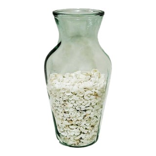 19-Inch Italian Blown Glass Baluster Vase With Bulk Coastal Seashell Collection For Sale