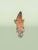 Animal Skin Monumental Hand-Carved Solid Wood Alligator Sculpture by Ken Packie, 6 Ft Long For Sale - Image 7 of 7