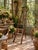 Hang textiles and towels, or use as shelf, this old painter's ladder has great character to add to a room. The old wood...