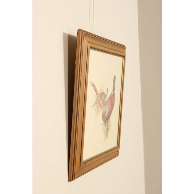 1980s Charles E. Murphy 'Ring Neck Pheasant' Lithograph, Custom Framed For Sale - Image 4 of 13