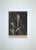 Portrait of the Painter Johann Kepezky is an original Etching and Mezzotint realized in 1734 by Johann Jakob Haid...