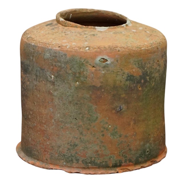 Antique English Terracotta Seakal Rhubarb Forced Planter, 1880 For Sale
