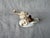 1950s Porcelain Young Child and His Goat Playing Wallendorf Figurine For Sale - Image 10 of 15