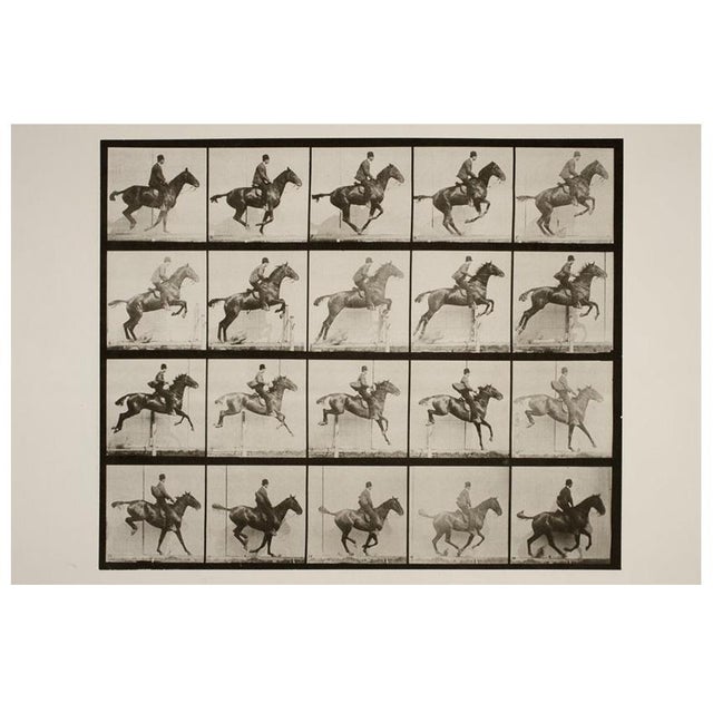 'Jumping a Hurdle' Unframed Archival Pigment Print For Sale