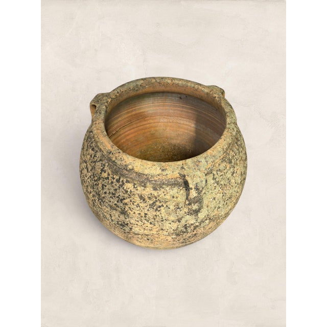 Late 19th Century X Large (32" H) Pair of Antique Greek Terracotta Olive Jars With Weathered Patina For Sale - Image 10 of 14