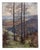 Arno Haag, Autumnal Low Mountain Landscape with Trees, Oil Painting on Canvas For Sale
