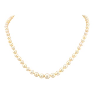 1980s Vintage Pearl 18k Yellow Gold Choker Necklace For Sale