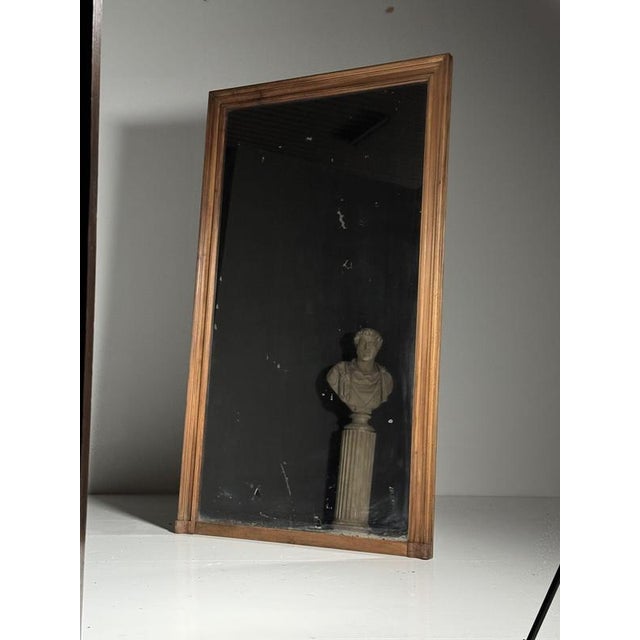 19th Century Belgian Full-Length Mirror For Sale - Image 12 of 18