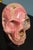 Skull in Rhodochrosite Mineral For Sale - Image 16 of 18