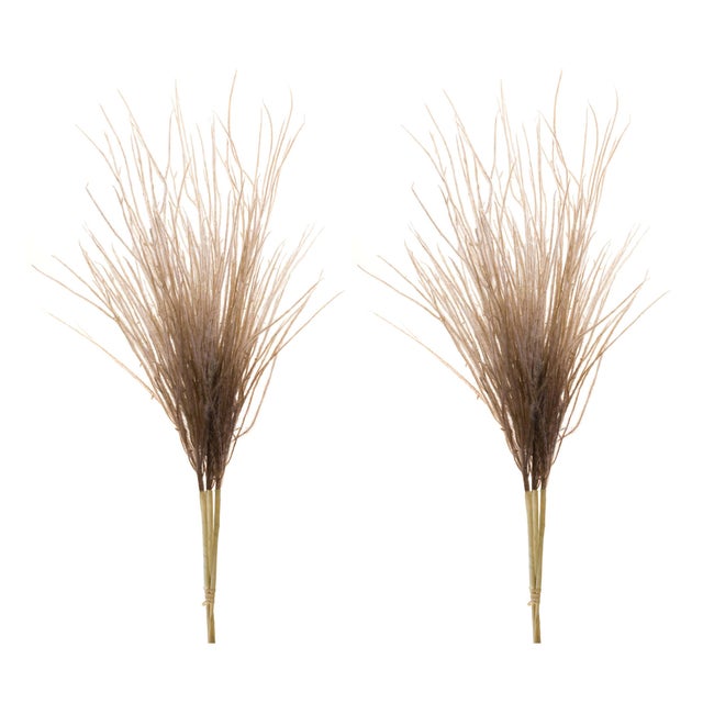 Rustic Grass Plume Bundle (Set of 2) For Sale - Image 3 of 3