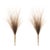 Rustic Grass Plume Bundle (Set of 2) For Sale - Image 3 of 3
