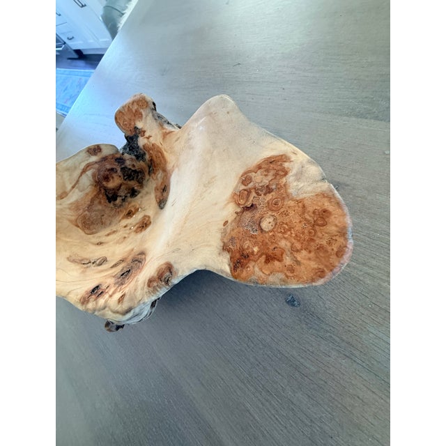 Wood Stunning Natural Aspen Wood Bowl For Sale - Image 7 of 12