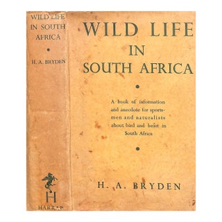 "Wild Life in South Africa" 1936 Bryden, H. A. For Sale