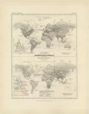 Antique Map of the Division and Distribution of Mammals by Johnston, 1850