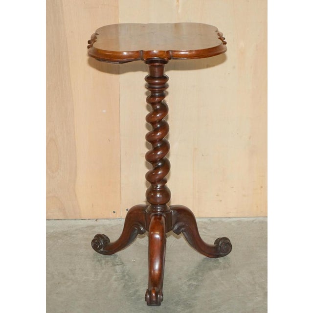 Victorian Burr Walnut Tripod Side Tables, 1860s, Set of 2 For Sale - Image 15 of 18