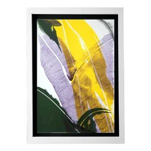 Paul Jenkins - Signed by Artist on Vélin D’Rives Lithograph Original W/Framing