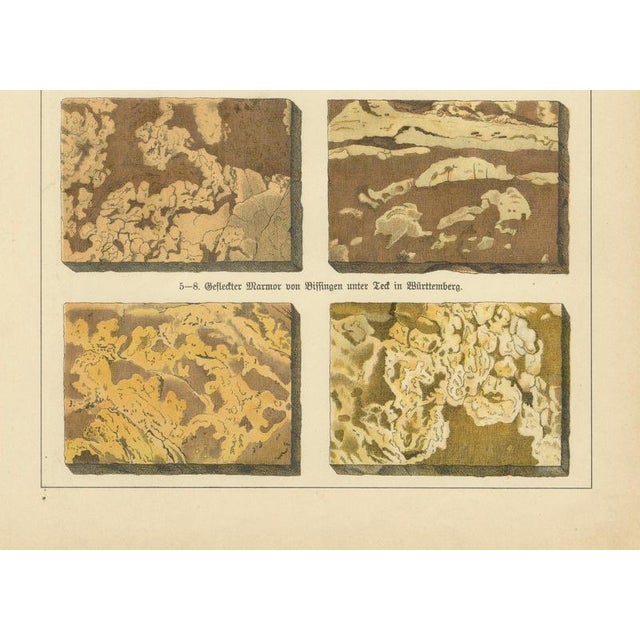 Red Dr. Gustav Adolph Kenngott, Mineralogy Marble, Aragonite & Fluorite, 1888, Chromolithographs, Set of 3 For Sale - Image 8 of 12