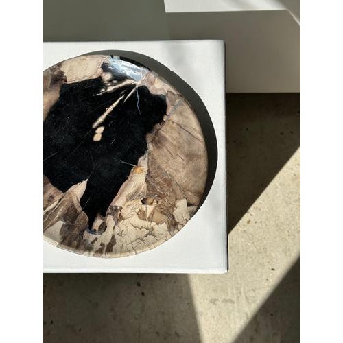 Large Vide-Poche or Dish in Petrified Wood For Sale - Image 18 of 18