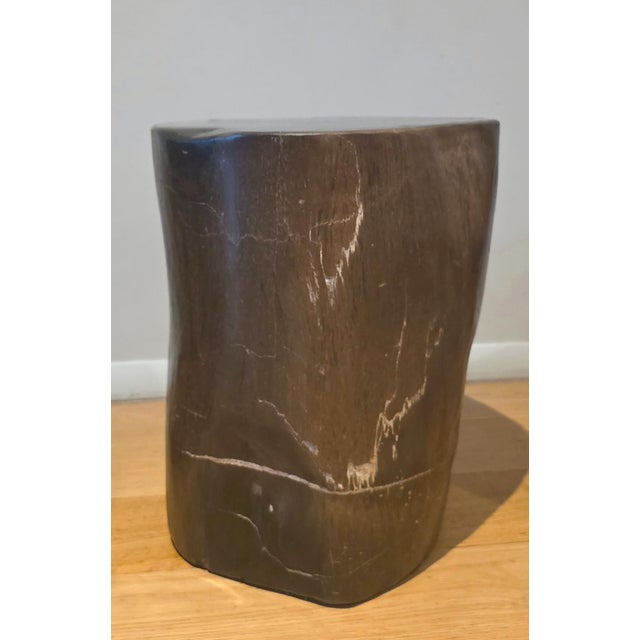 2000 - 2009 Pair of Indonesian Petrified Wood Side Tables, Bali, Organic Modern, C. 2000s For Sale - Image 5 of 7
