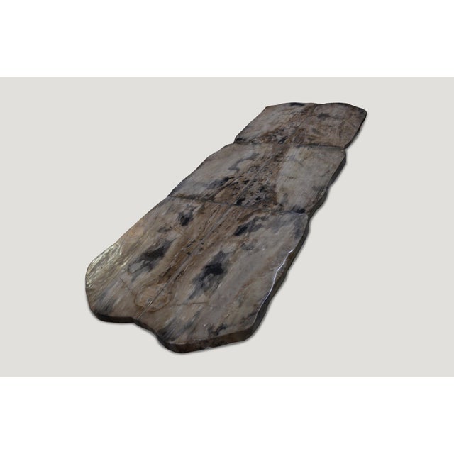 Beige Andrianna Shamaris Petrified Wood Table For Sale - Image 8 of 18