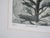 2010s Stirling Gorsuch Limited Edition Oregon Coast Tree Landscape Print Conduit For Sale - Image 5 of 7