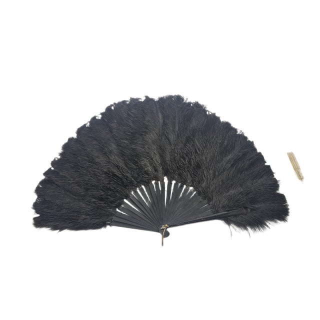 Art Deco Polish Autriche Feather Fan, 1920s For Sale - Image 10 of 16