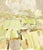 Original 1962 lithograph by Roger Mühl, from the limited edition of 950 monograph, printed and published by Fernand...