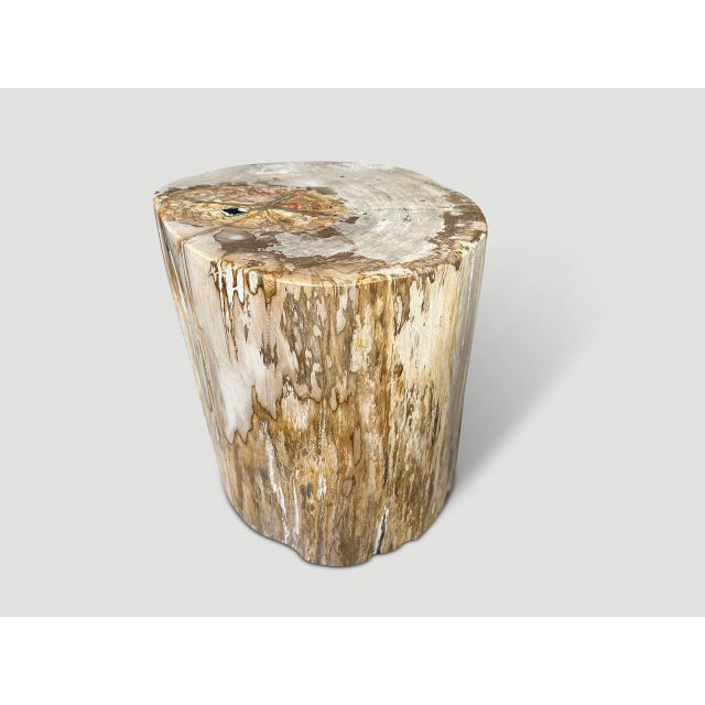 Andrianna Shamaris Impressive Large Petrified Wood Side Table For Sale - Image 18 of 18