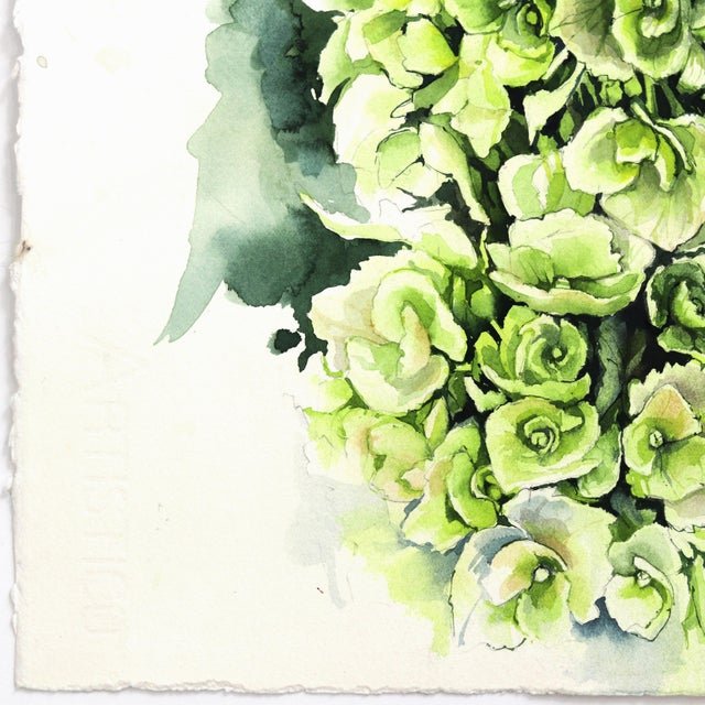 Green and White Hydrangeas - Floral Watercolor Painting Original Artwork by Anna Kudriashova For Sale - Image 4 of 7