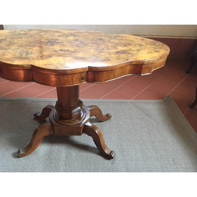 18th Century Regency Walnut Briar Root Oval Side Table, Italy, 1750 For Sale - Image 10 of 17