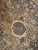 Tabriz Style Rug , 4'2" X 6'3" For Sale - Image 9 of 10