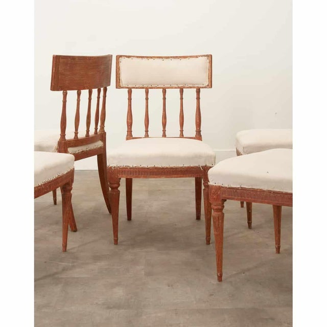 Early 19th Century Swedish 19th Century Set of 5 Gustavian Dining Chairs For Sale - Image 5 of 12