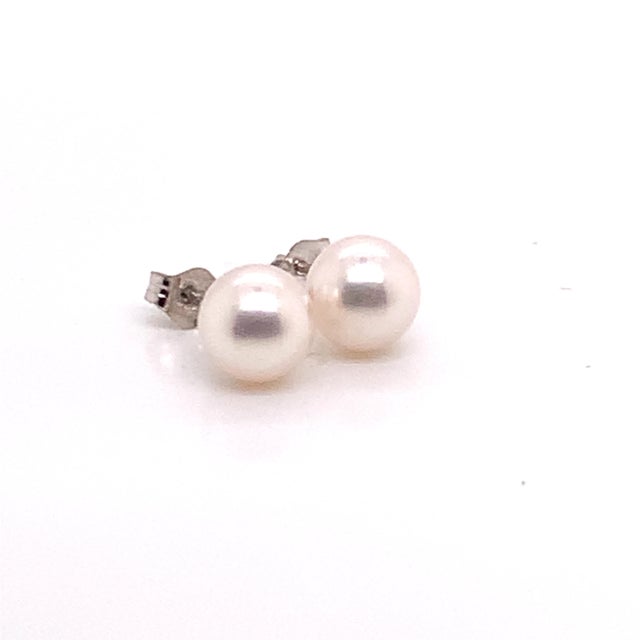 Akoya Pearl Earrings 14k White Gold Certified For Sale - Image 18 of 18