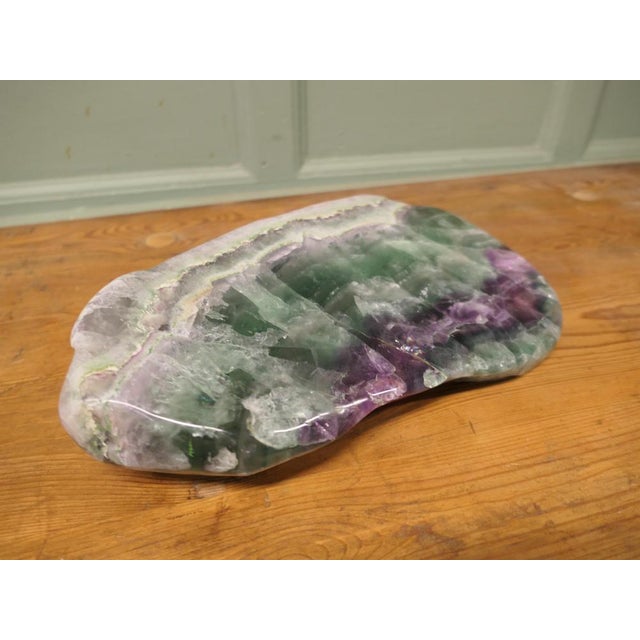 Agate Slab Set on Carved Root Stand, 1900 For Sale - Image 6 of 8