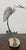 Design Plus Gallery presents Heron on a Branch with Lilies by Brian Arthur (1935-2022). This is a prominent wildlife cast-...